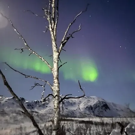 One Bedroom In Eidkjosen, Tromso 아파트 Kvaloya