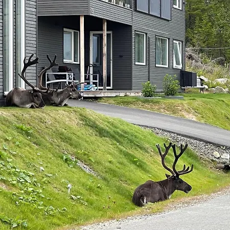 One Bedroom In Eidkjosen, Tromsø * Kvaloya