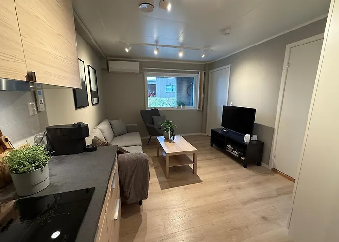 One Bedroom In Eidkjosen, Tromso Apartment *