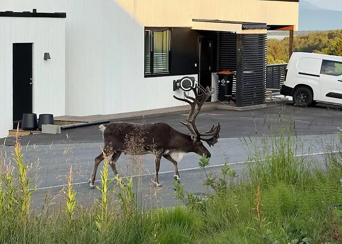One Bedroom In Eidkjosen, Tromso * Kvaloya
