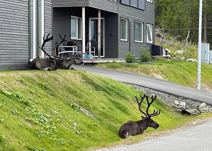 One Bedroom In Eidkjosen, Tromso * Kvaloya