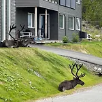 One Bedroom In Eidkjosen, Tromso * Kvaloya